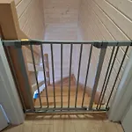 Letniskowe Czapli9 *